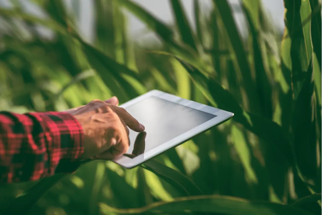 O que é Caderno de Campo e por que ele é essencial para sua fazenda?